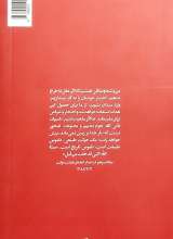 تصاویر بیشتر کتاب استبدال