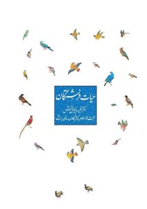 حیات فرشتگان