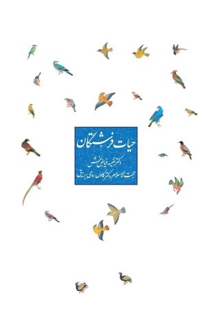 حیات فرشتگان
